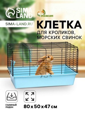 Клетка для кроликов, морских свинок "Пижон" №4 складная , 80 х 50 х 47 см, бирюзовая