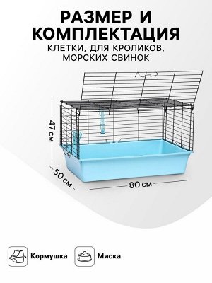 Клетка для кроликов, морских свинок "Пижон" №4 складная , 80 х 50 х 47 см, бирюзовая