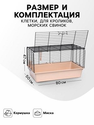 Клетка для кроликов, морских свинок "Пижон" №4 складная, 80 х 50 х 47 см, бежевая