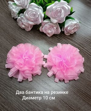 Бантики для волос 2 шт. В подарочной упаковке