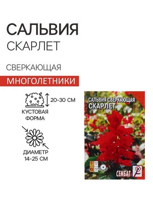 Семена цветов Сальвия сверкающая "Скарлет"