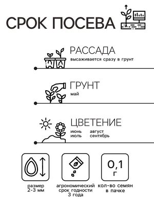 Семена цветов Мальва "Ореховый спас", ц/п, 0,1 г