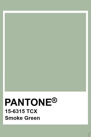 Пододеяльник перкаль Актив 215х145 "Wenge" рис. 86024-12 Smoke green