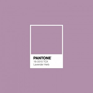 Пододеяльник перкаль Актив 215х145 "Wenge" рис. 86101-5 Lavender Frost