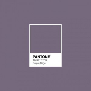 Пододеяльник перкаль Актив 215х145 "Wenge" рис. 86103-5 Purple sage