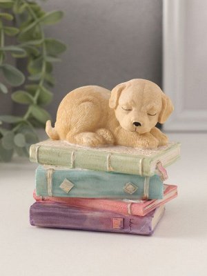Фигурка полистоун «Щенок спит на книгах», 9x7x8.5 см