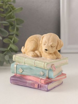 Фигурка полистоун «Щенок спит на книгах», 9x7x8.5 см