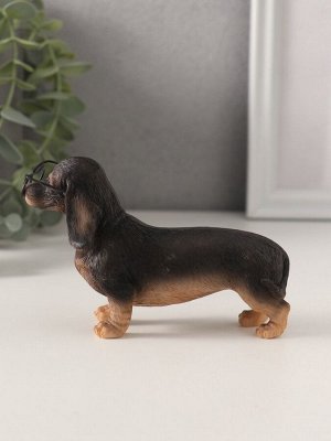 Фигурка полистоун «Такса в очках», 11.5x4x7.5 см