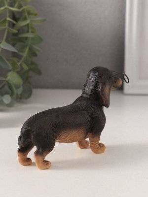 Фигурка полистоун «Такса в очках», 11.5x4x7.5 см