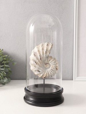 Фигурка в колбе «Ракушка плоскоспиральная», полистоун, 14x14x30 см