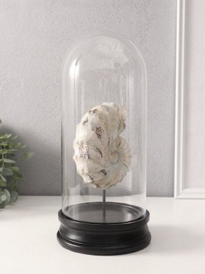 Фигурка в колбе «Ракушка плоскоспиральная», полистоун, 14x14x30 см