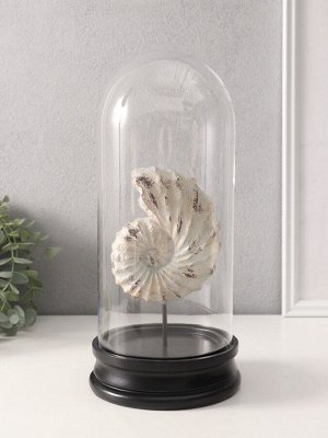 Фигурка в колбе «Ракушка плоскоспиральная», полистоун, 14x14x30 см