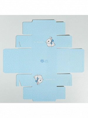 Коробка кондитерская 12 х6 х11,5 см с PVC крышкой Ты прелесть под бенто торт 1/5
