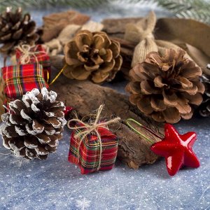 Набор новогоднего декора «Лесные дары»