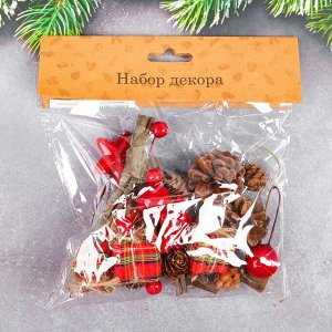 Набор новогоднего декора "Шишки и подарочки"   WS-036
