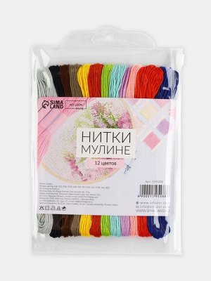 Набор ниток мулине №3, 8±1 м, 12 шт.