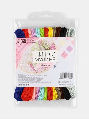 Набор ниток мулине №3, 8±1 м, 12 шт.