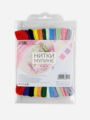 Набор ниток мулине №13/14, 8±1 м, 12 шт.