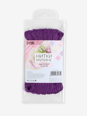 Нитки мулине №3348, 8±1 м, набор 6 шт., фиолетовый
