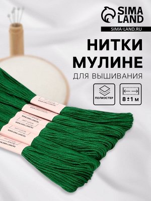 Нитки мулине №3818, 8±1 м, набор 6 шт., тёмно-зелёный
