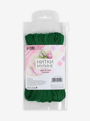 Нитки мулине №3818, 8±1 м, набор 6 шт., тёмно-зелёный