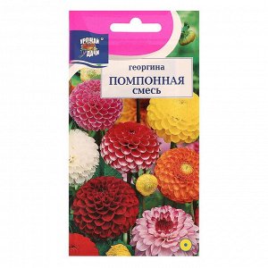 Семена цветов Георгина Смесь "Помпонная",0,2 гр