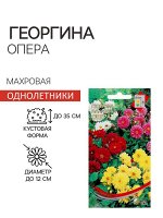 Семена цветов Георгина махровая &quot;Опера&quot; 15 шт