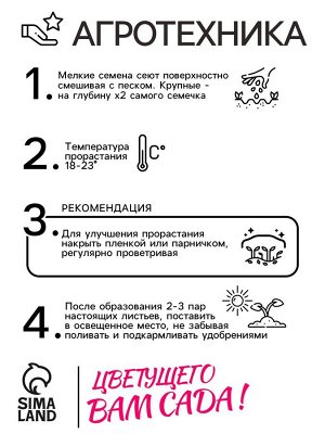 Семена цветов Астра Монпансье серебристая Одн Ц/П 0,2г