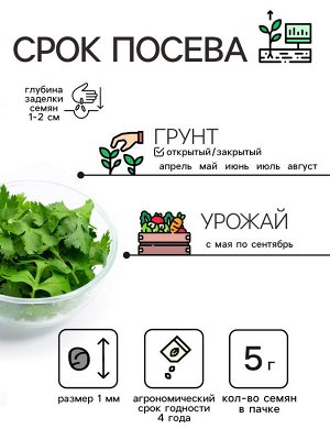 Семена Кориандр "Бородинский", 5 г