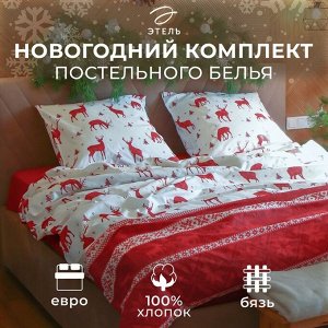 Постельное бельё "Этель" Евро Скандинавия 200*217 см, 240*220 см, 70*70 см - 2 шт