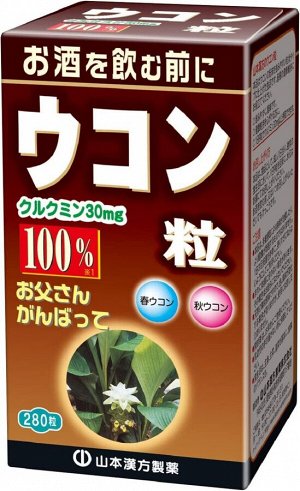 Экстракт куркумы Kanpo Yamamoto Turmeric Grain 100%