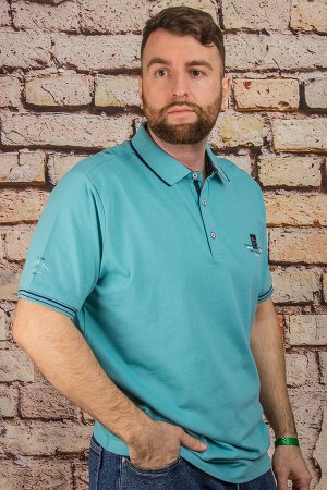 Футболка 2489В м.волна CAHOTER