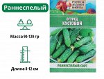 Семена Огурец &quot;Кустовой&quot;, 0,5 г