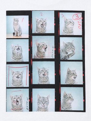 UNIQLO Cat Photograph UT - футболка расслабленного силуэта - 00 WHITE