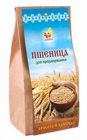 Пшеница зерно для проращивания пакет 500г