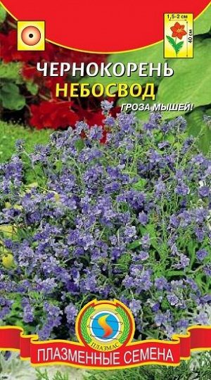 Чернокорень Небосвод (Код: 92224)
