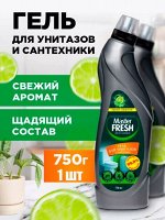 Master FRESH Гель для унитазов и сантехники 750 г