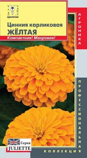 Цинния Желтая серия Джульетта (Код: 92222)