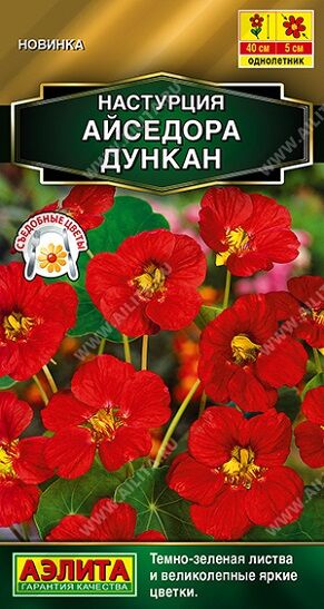 Настурция Айседора Дункан (Код: 93151)