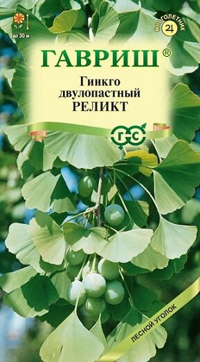 Гинкго Реликт (Код: 93273)