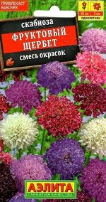 Скабиоза Фруктовый щербет (Код: 11759)