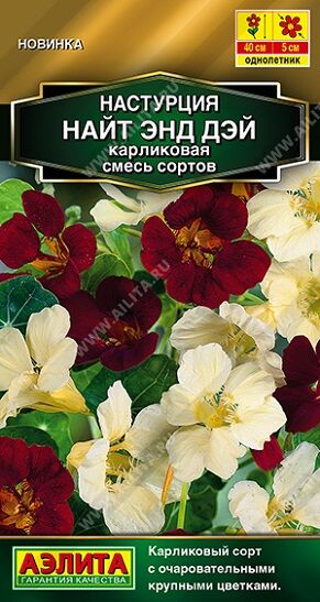 Настурция Найт Энд Дей (Код: 93152)