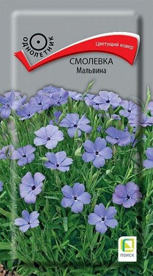 Смолевка Мальвина (Код: 93304)