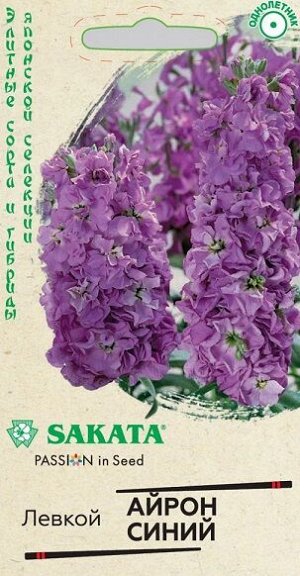 Левкой Айрон синий (Код: 93270)