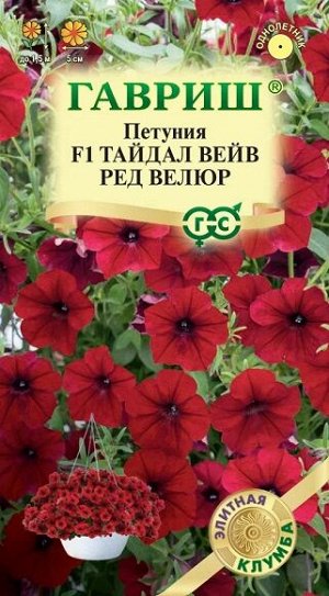 Петуния Тайдал Вейв ред велюр F1 (Код: 93278)