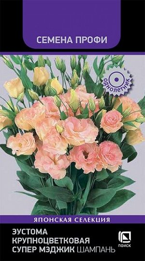 Эустома Супер Мэджик Шампань (Код: 93311)
