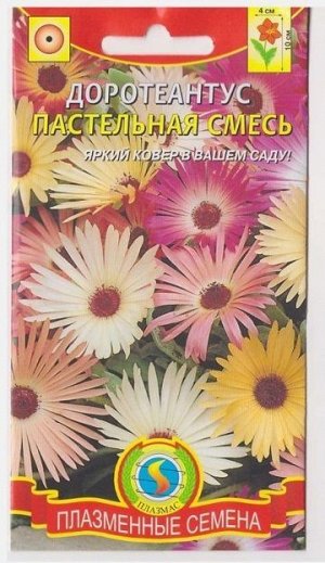 Доротеантус Пастельная смесь (Код: 75893)