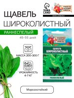 Семена Щавель &quot;Широколистный&quot;, 1 г