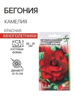 Семена цветов Бегония крупноцвет &quot;Камелия&quot;, красная, 10 шт