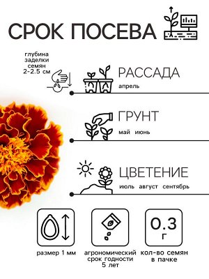 Семена цветов Бархатцы отклонённые "Медок", смесь, 0,3 г